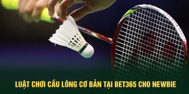 Luật chơi cầu lông cơ bản