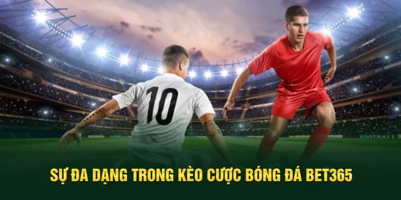 Đa dạng kèo cược bóng đá hấp dẫn