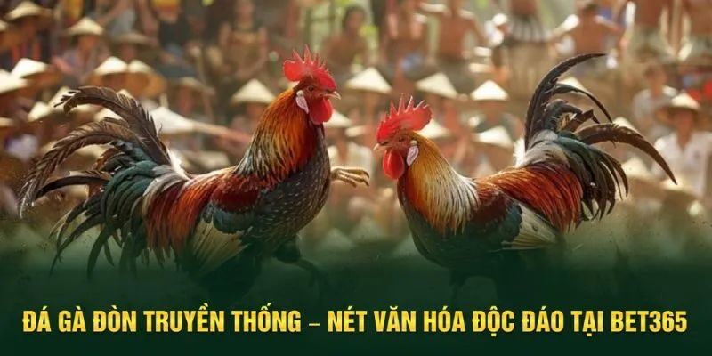 đá gà đòn truyền thống