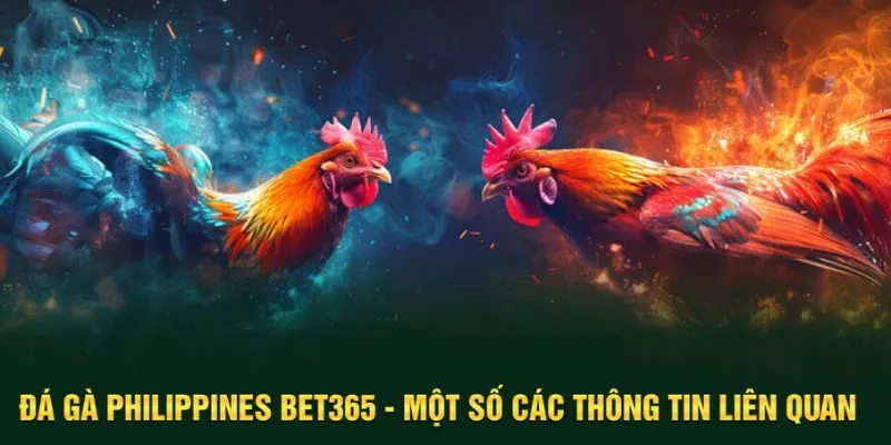đá gà Philippines