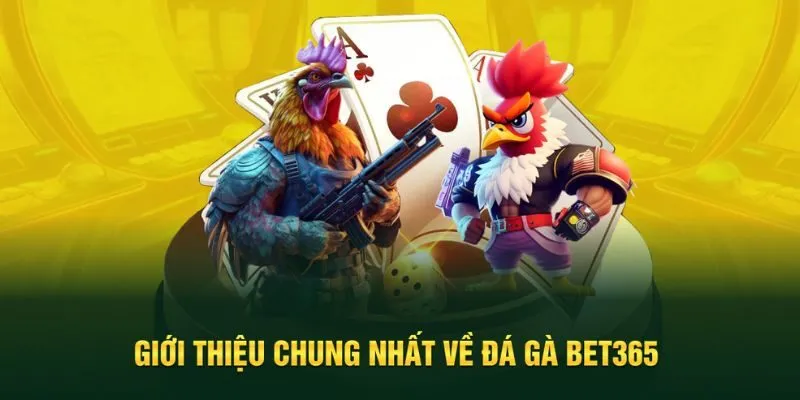 Tìm hiểu chung về đá gà Bet365