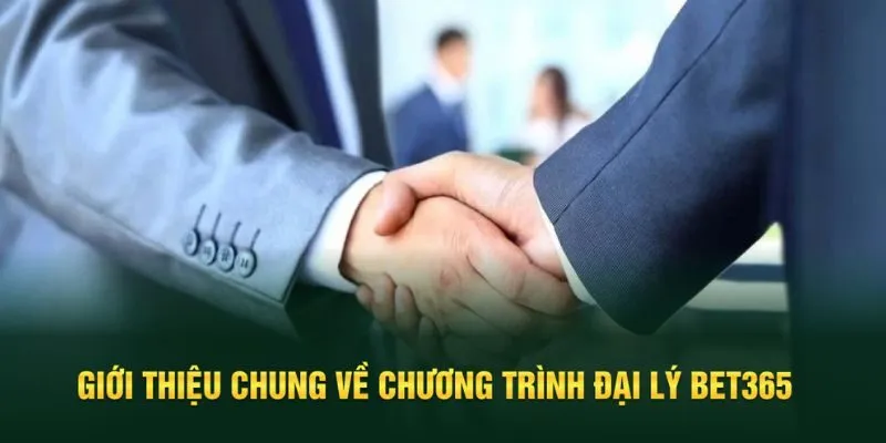 Giới thiệu khái quát về đại lý Bet365