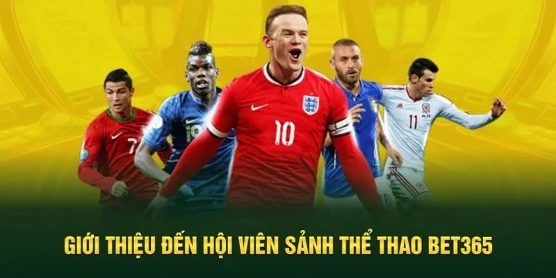 Giới thiệu chung nhất về thể thao Bet365