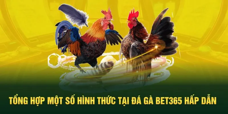 Hình thức giải trí đá gà hấp dẫn tại nhà cái