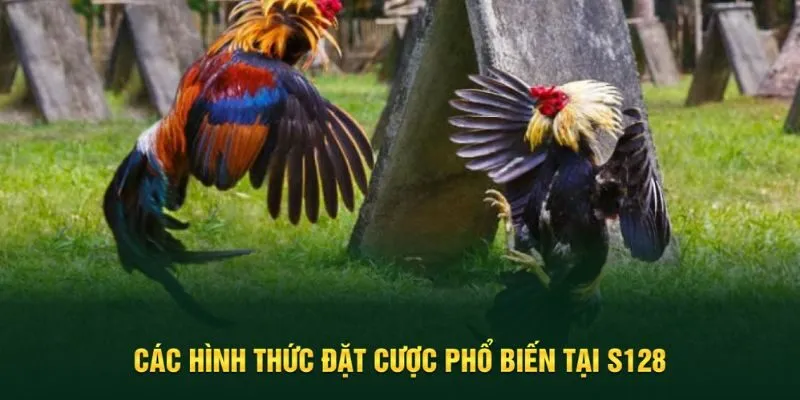 Hình thức cá cược đá gà phổ biến