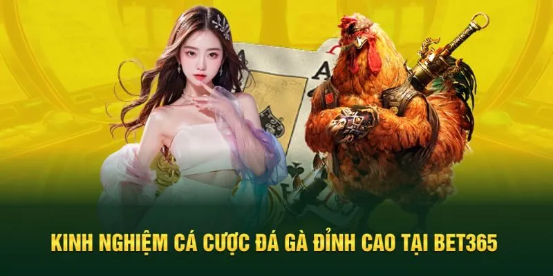 Mách bạn kinh nghiệm chinh phục trận đấu chiến kê