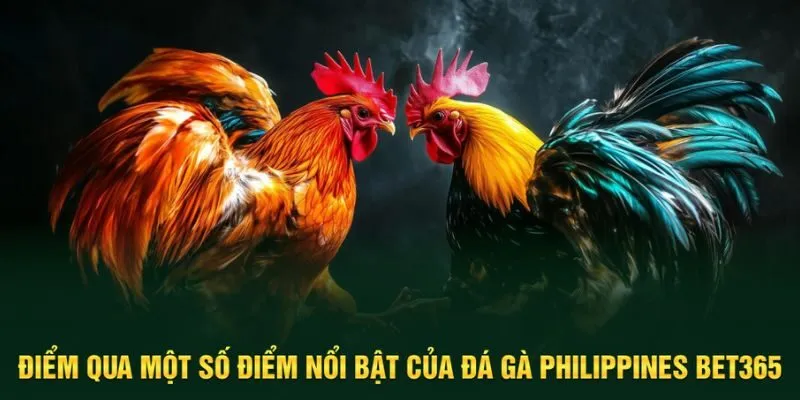 Điểm qua những nổi bật của trò chơi
