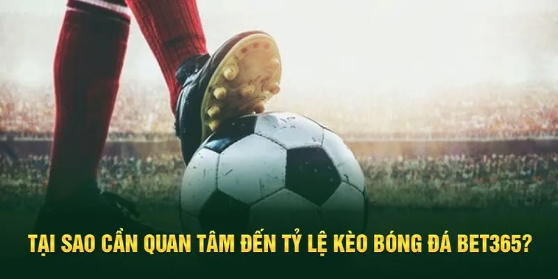 Quan tâm đến tỷ lệ kèo để chiến thắng