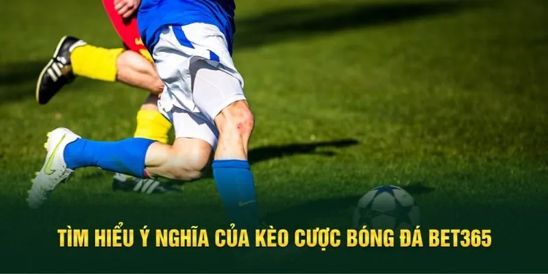 Tổng quan về kèo cược bóng đá Bet365