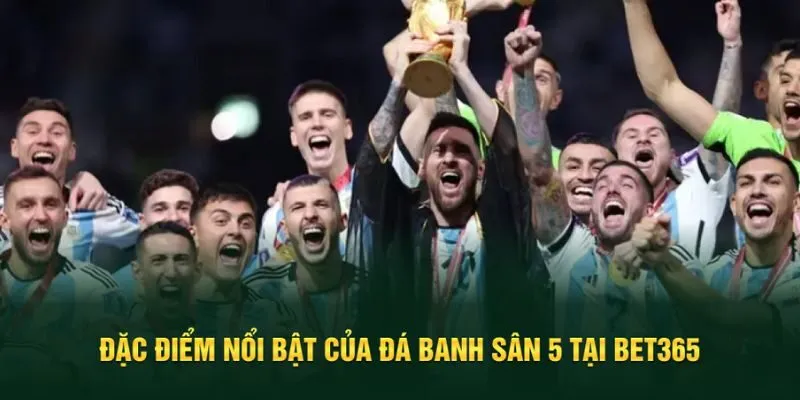 Mô tả một số điểm nổi bật của đá banh sân 5 