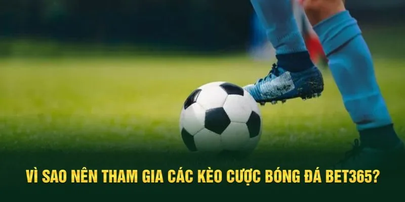 Nên tham gia tại Bet365 để tận hưởng ưu điểm vượt trội