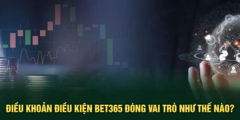 Vai trò quan trọng của điều khoản nhà cái